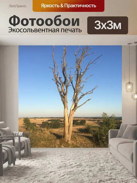 Фотообои Дерево