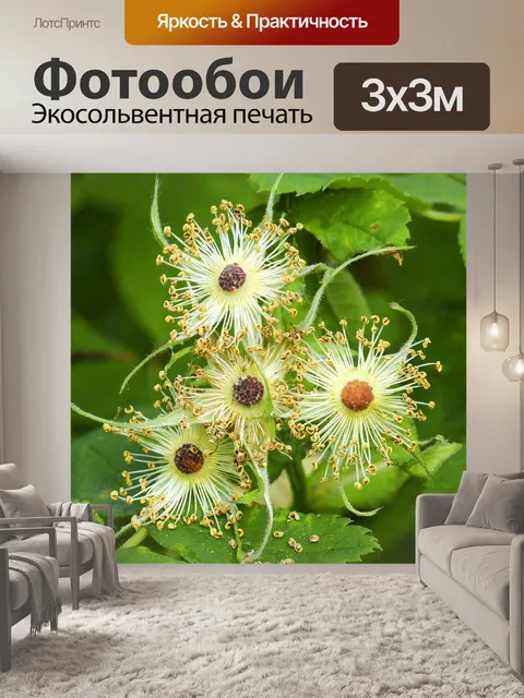 Фотообои Засохший