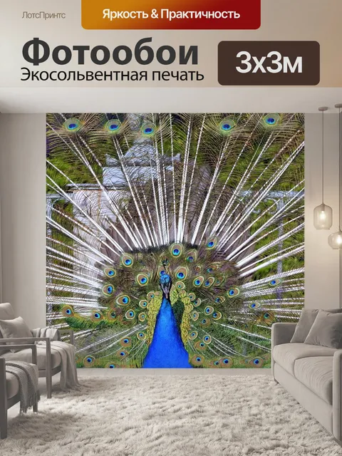 Фотообои Павлин