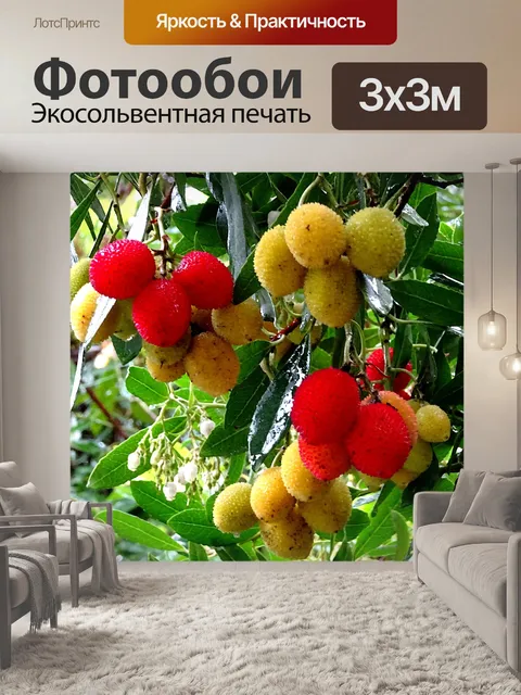Фотообои Осень Дерево