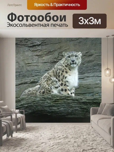 Фотообои Снежный барс