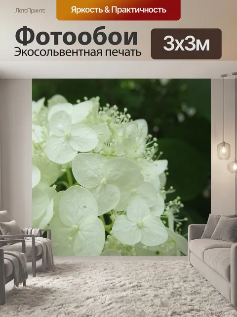 Фотообои Гортензия