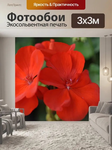 Фотообои Красный