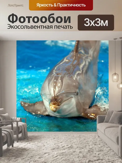 Фотообои Дельфин