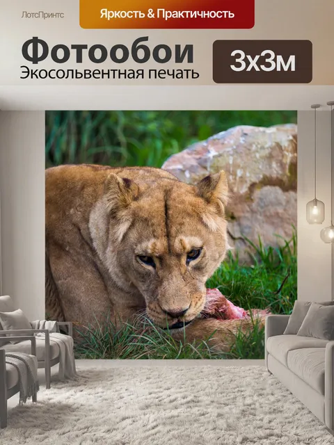 Фотообои Львица питание