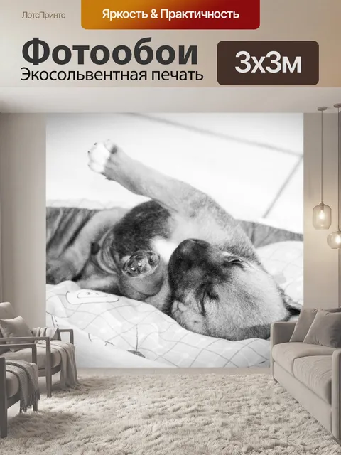 Фотообои Щенок