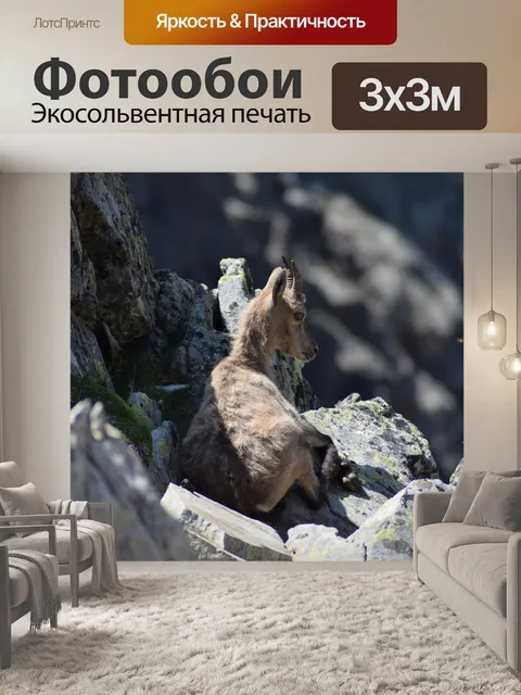 Фотообои Горный козел