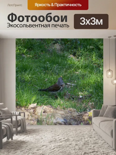 Фотообои Птица