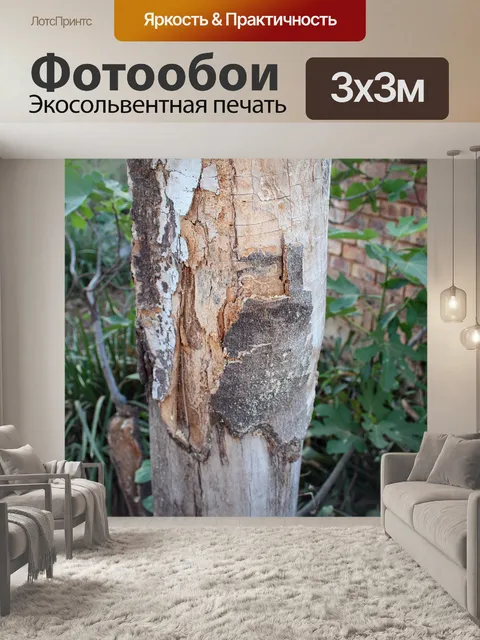 Фотообои гниения пень