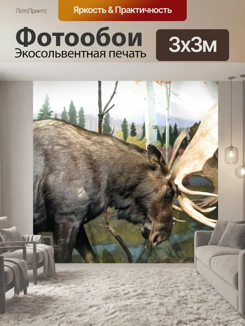 Фотообои лось