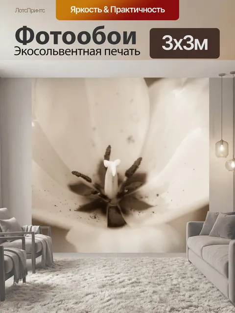 Фотообои белый тюльпан