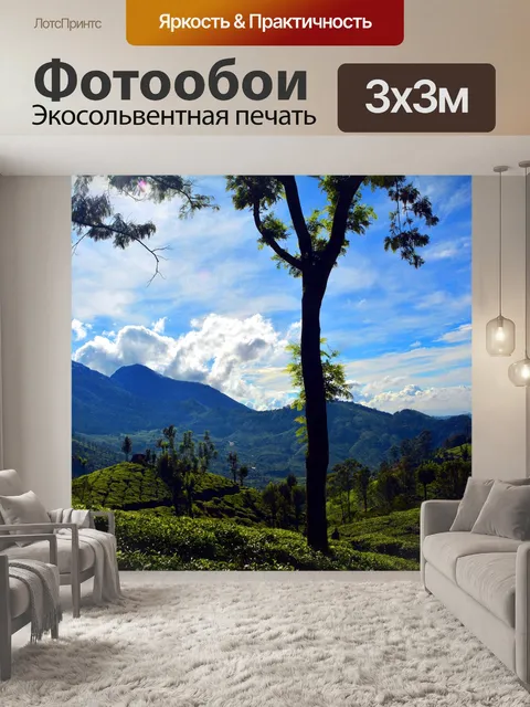 Фотообои Деревья