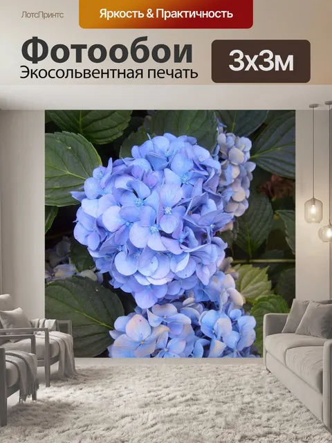 Фотообои Гортензия