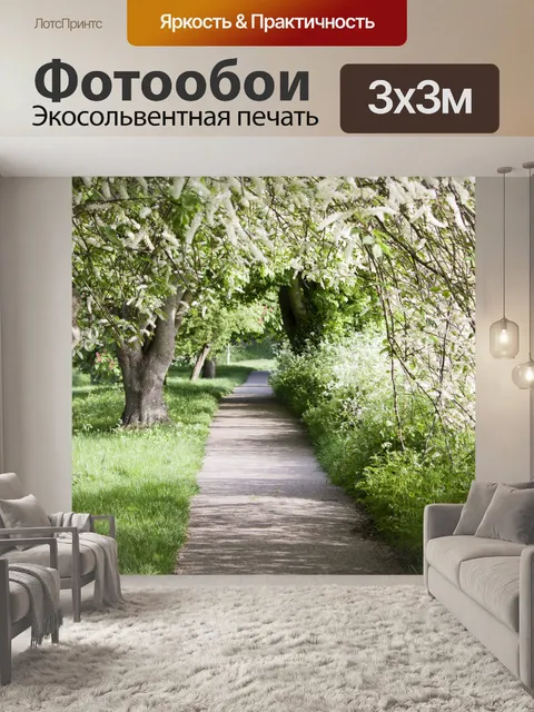 Фотообои Весна деревьев вдоль Прогулка