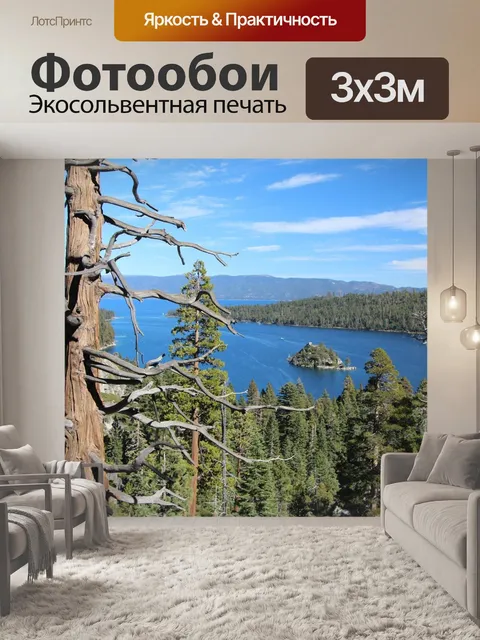 Фотообои Вид на лес