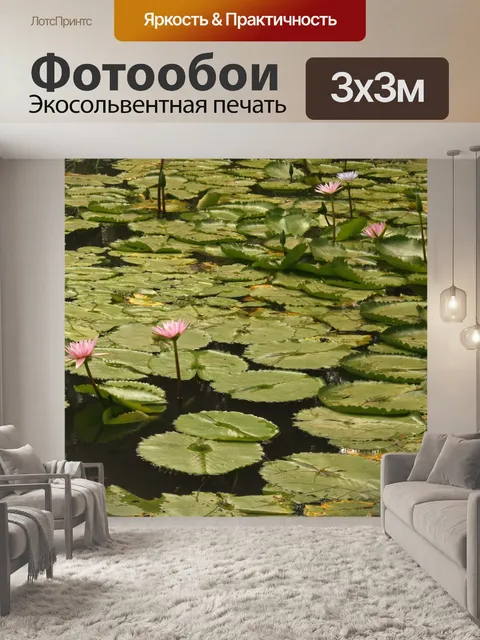 Фотообои широкие плоские листья на воде