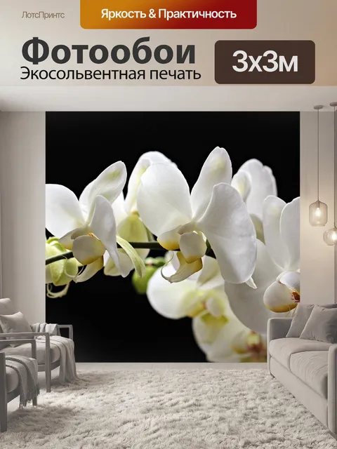 Фотообои Орхидеи