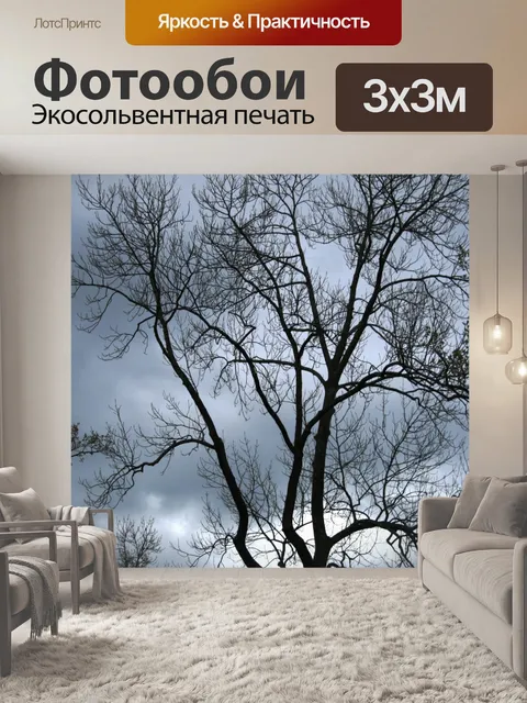 Фотообои высокое дерево против серого неба