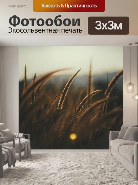Фотообои Поле пшеницы