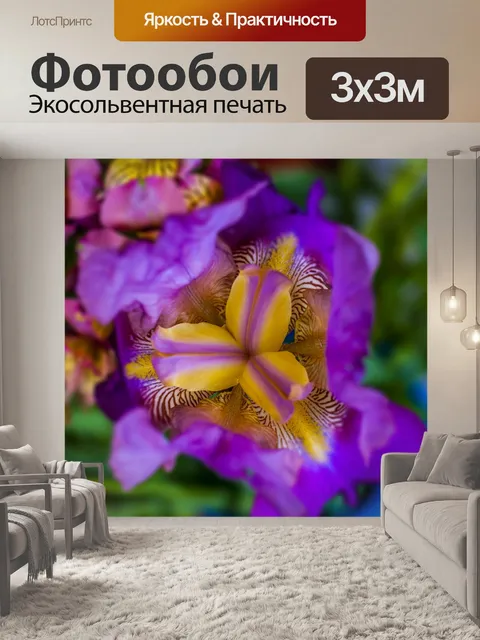 Фотообои Цветок