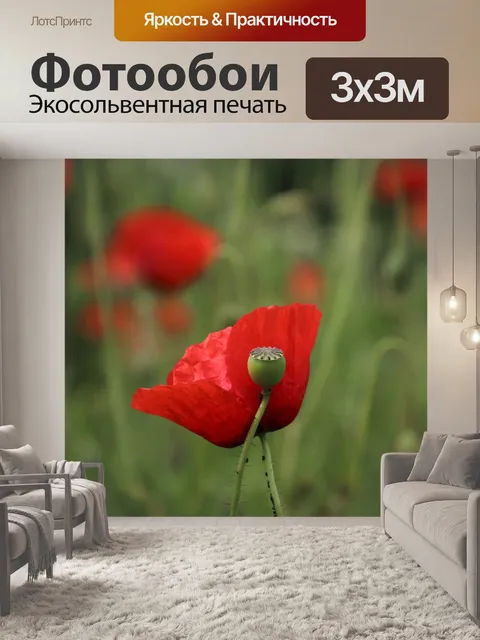 Фотообои Красные маки