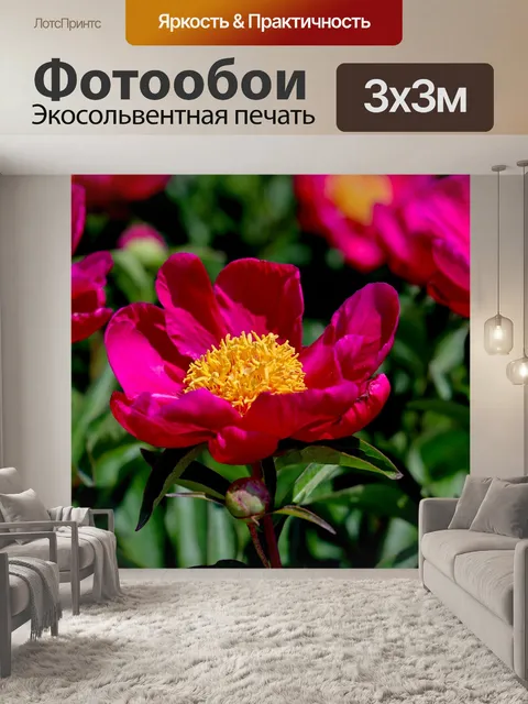 Фотообои Цветок