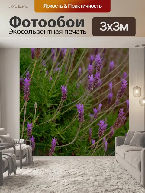 Фотообои Фиолетовая лаванда на зеленом поле