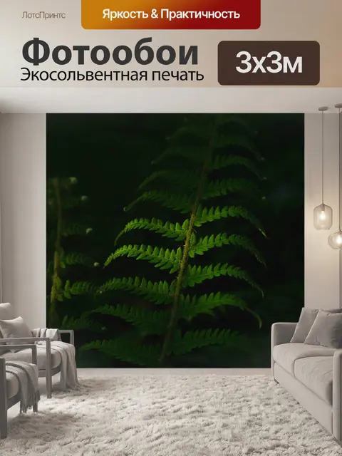 Фотообои Темный