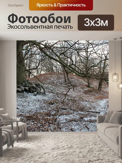 Фотообои Дюны