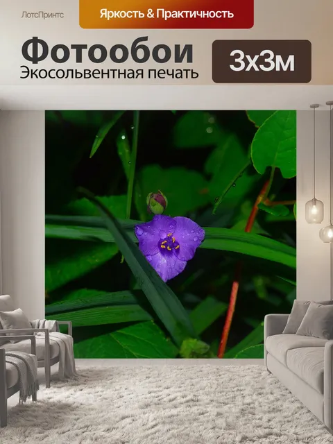 Фотообои Фиолетовый цветок