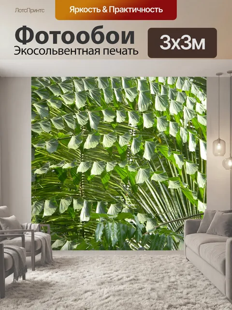 Фотообои Листья