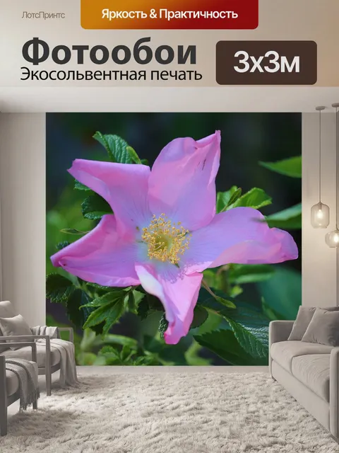 Фотообои Собачьи розы