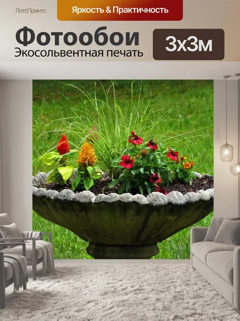 Фотообои Птица