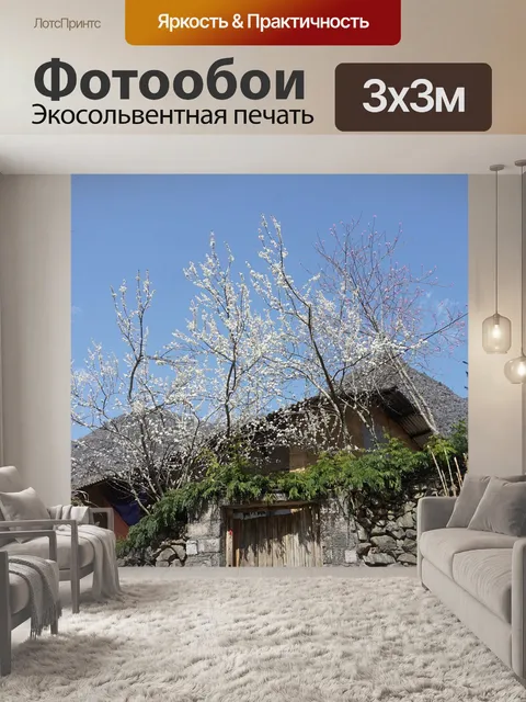 Фотообои Хаганг