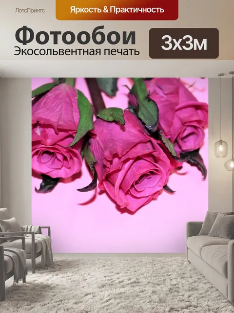 Фотообои Три розовые розы на розовом фоне