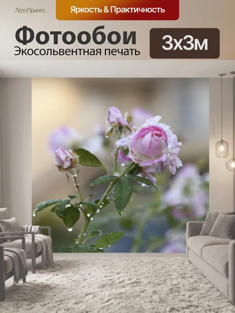 Фотообои Бледно-розовый розовый бутон