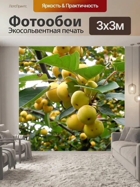 Фотообои Дерево