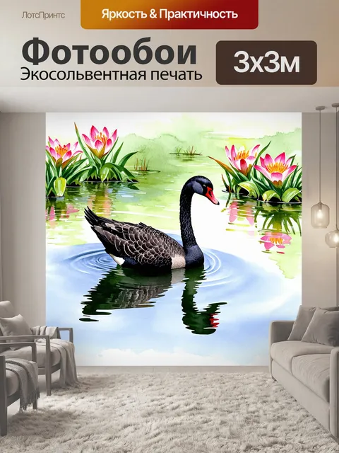 Фотообои черный лебедь, грациозно скользящий по поверхности тихого пруда, отражая свои изящные формы в спокойной воде