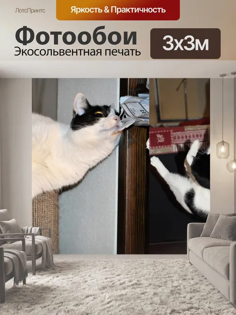 Фотообои Играют кошки