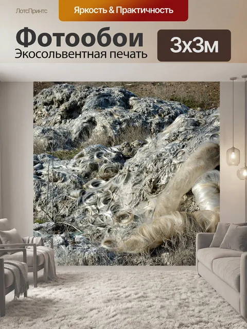 Фотообои Concepts