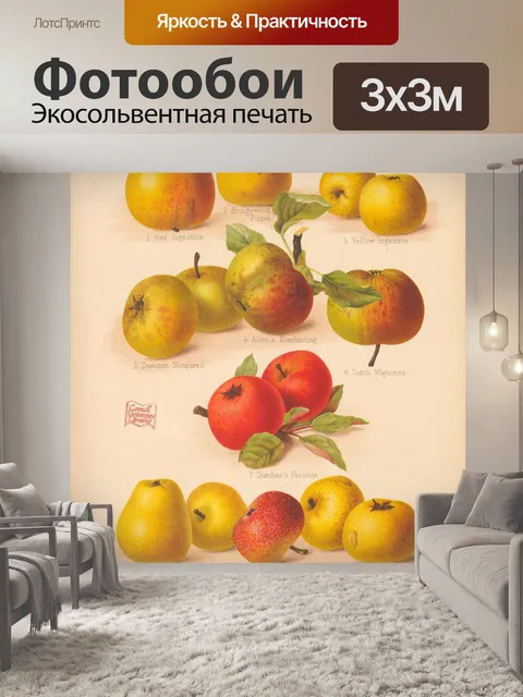 Фотообои Старинный фруктовый сад