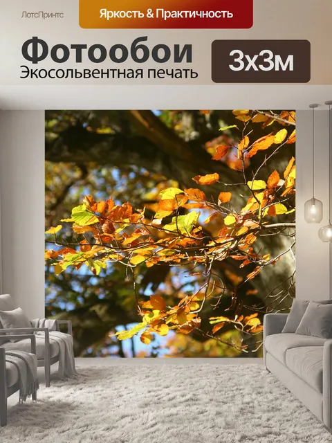 Фотообои Осенние листья