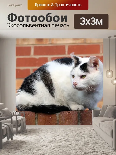 Фотообои Кошка