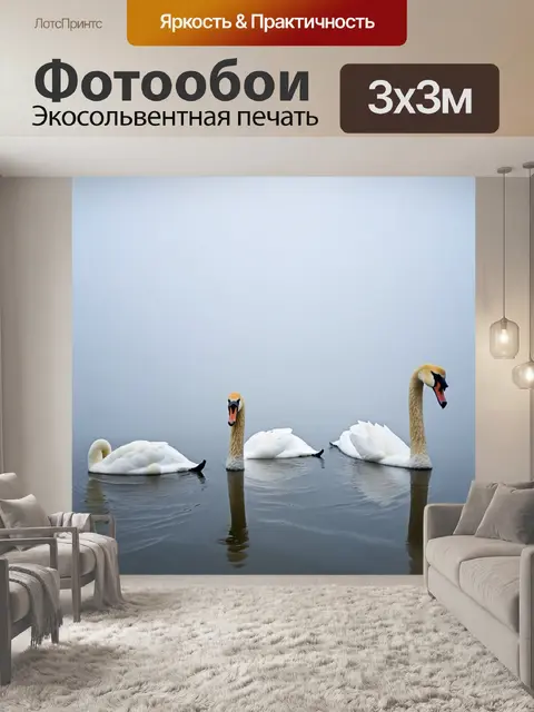 Фотообои лебеди в тумане раннего утра