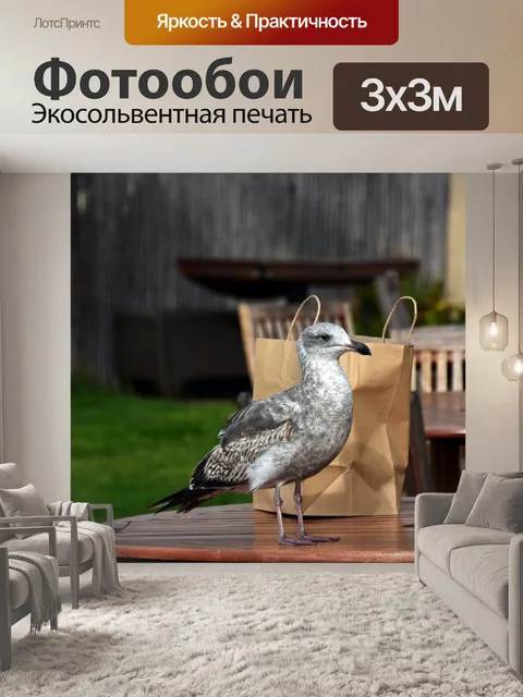 Фотообои чайка и сумка для обеда
