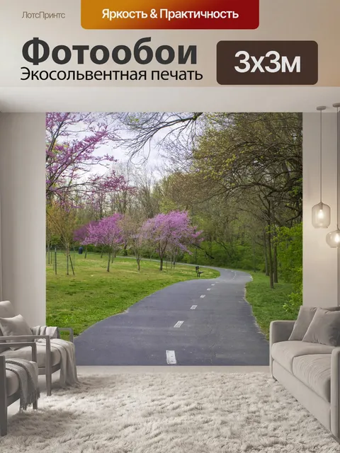 Фотообои Намотки дороги