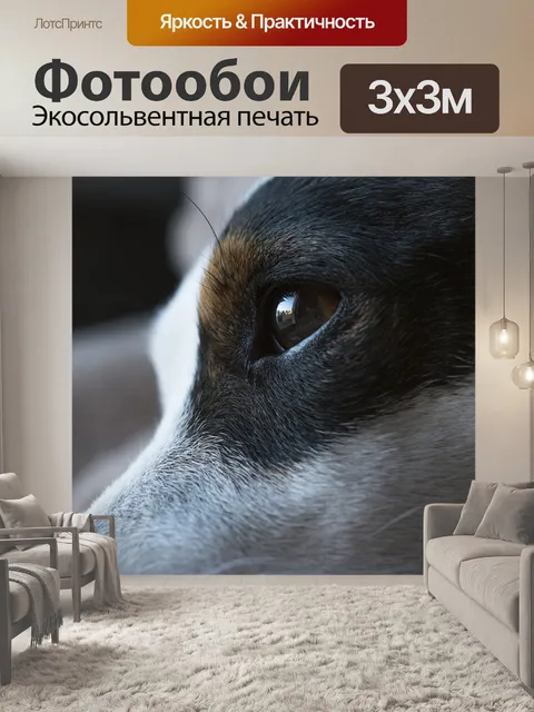 Фотообои Собака