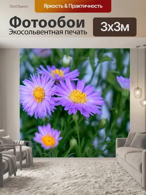 Фотообои Хизер