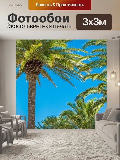 Фотообои Пальмы и голубое небо