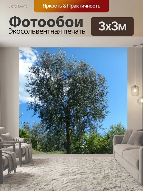 Фотообои Дерево